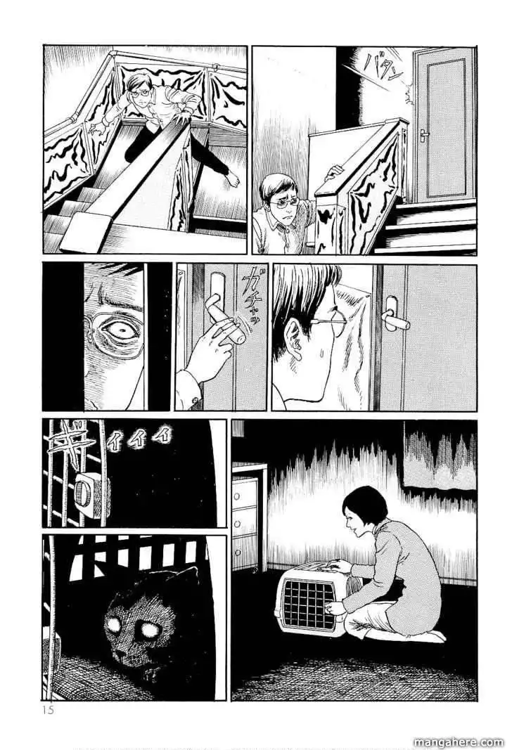 Ito Junji's Cat Diary Chapter 2 3